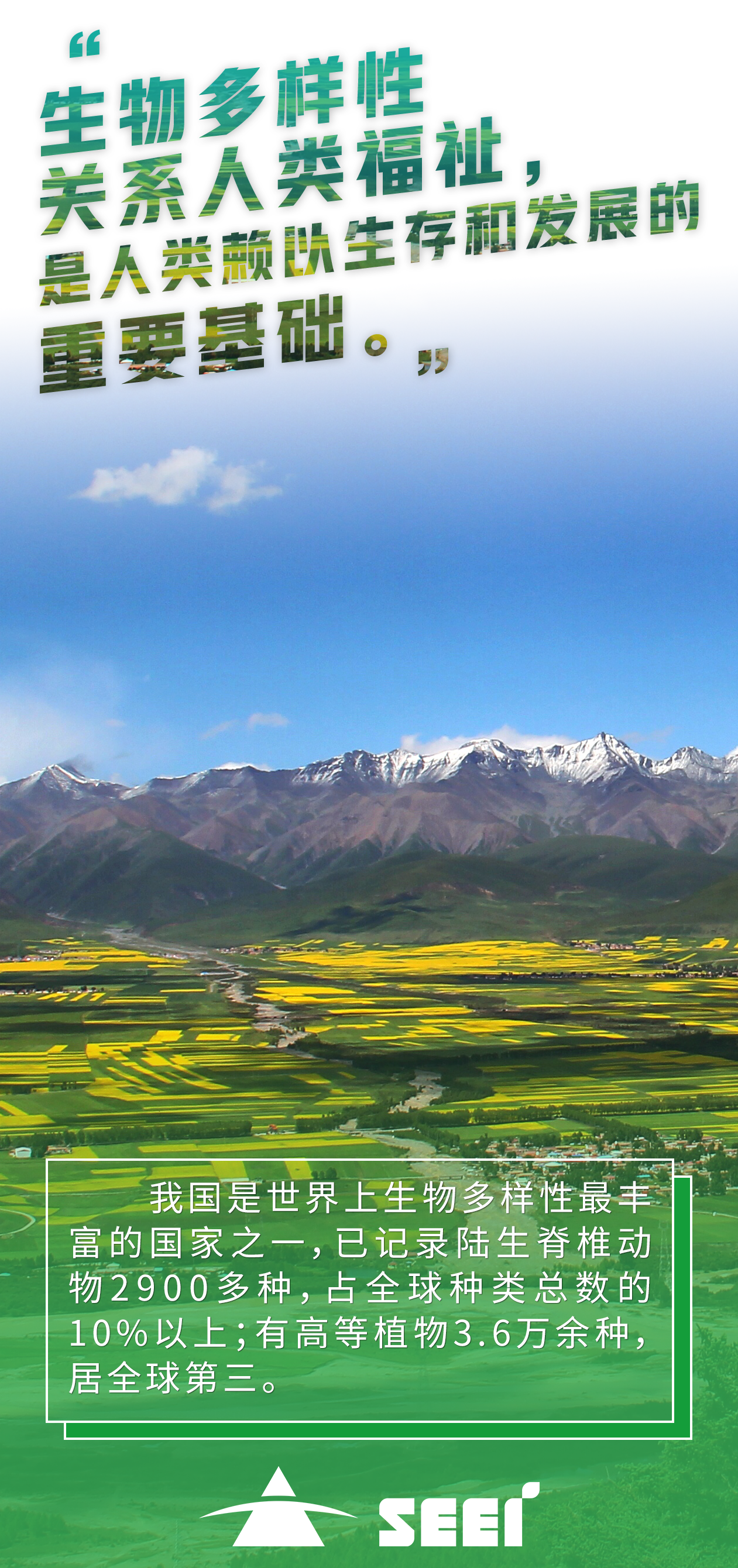 1四川生态环保集团企业管理部-朱家佩-门源