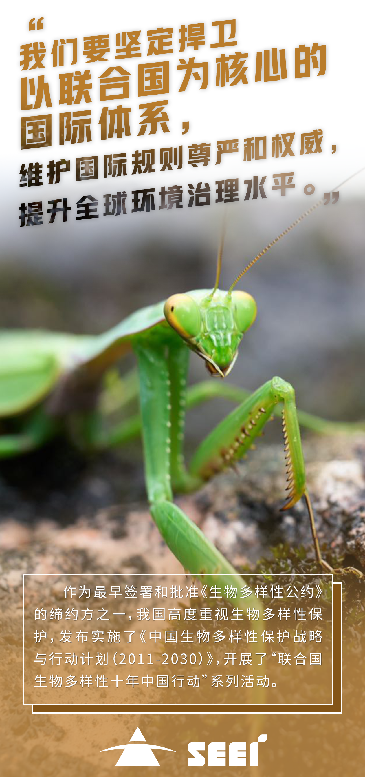 6四川生态环保集团-陈奕阳